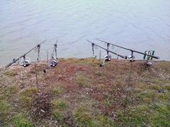 Floarea Popestiului 23 - 23 feb.